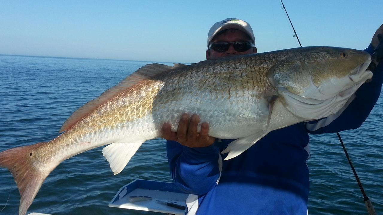 Head Boats  Pure Naples Fishing